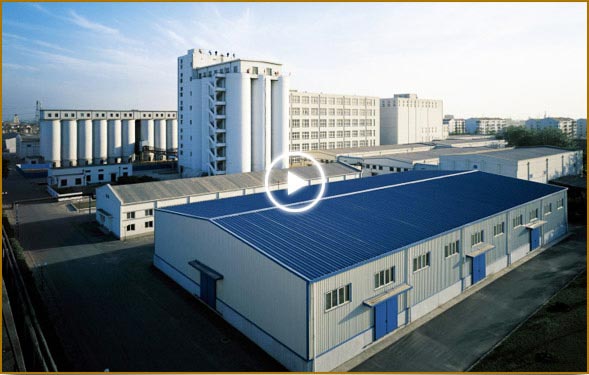 Anhui Qihan Import & Export CO., LTD